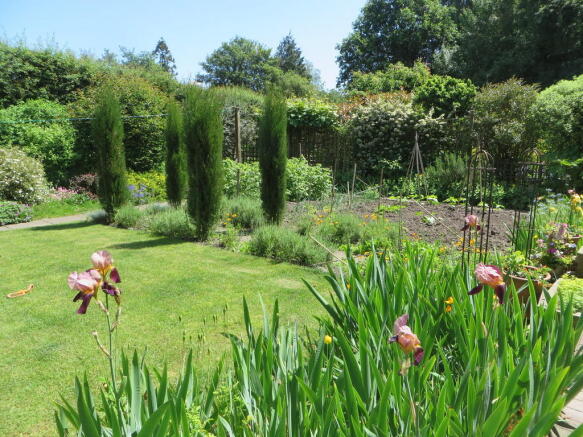 Photo 5