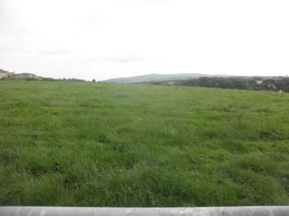 rear field view