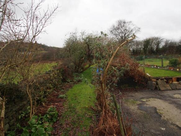 Garden and Parking