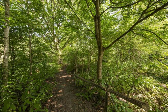 Woodland Area