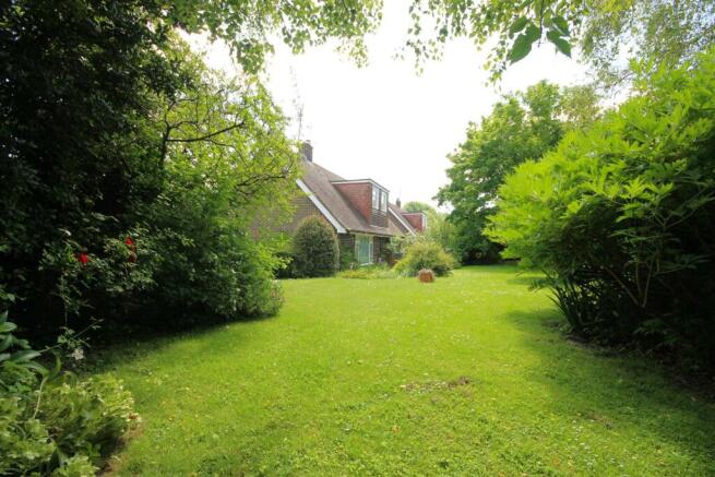 garden 1.JPG