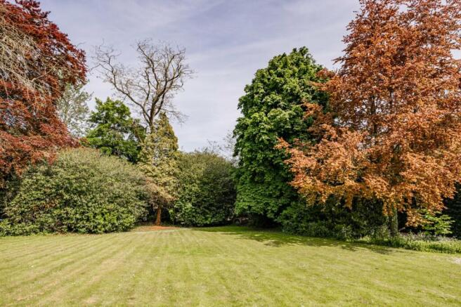 Front Lawn