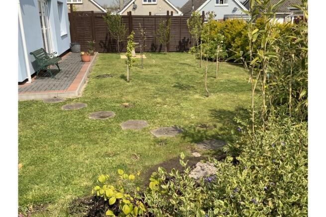 Mature Garden