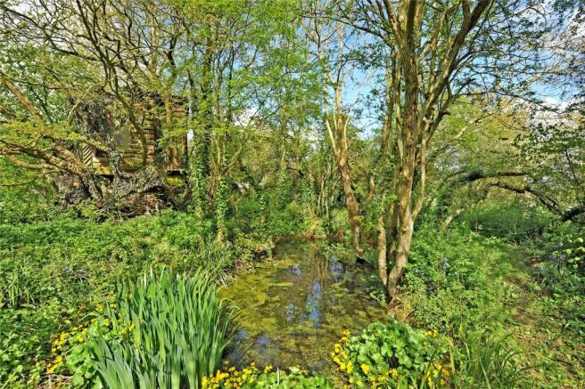 Nature Pond