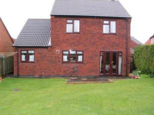 Rear Aspect