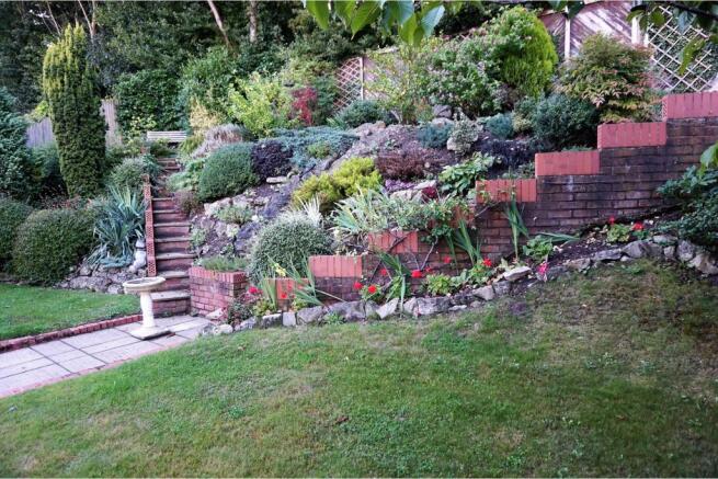 Mature Garden