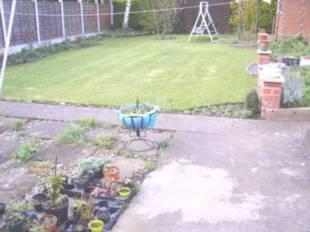 Picture 8