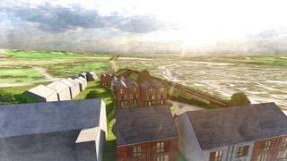 Not Specified for sale Image 7