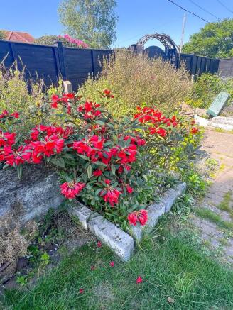 Photo 20