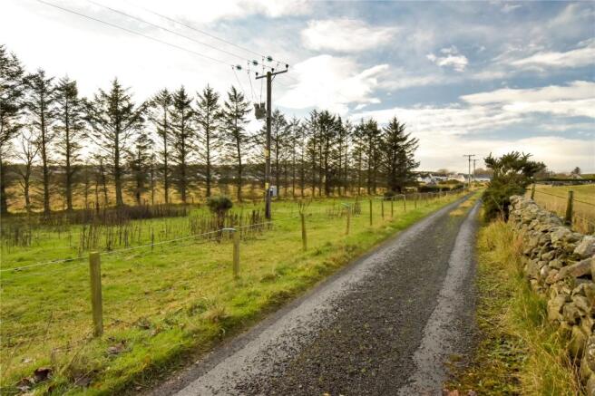 Driveway View