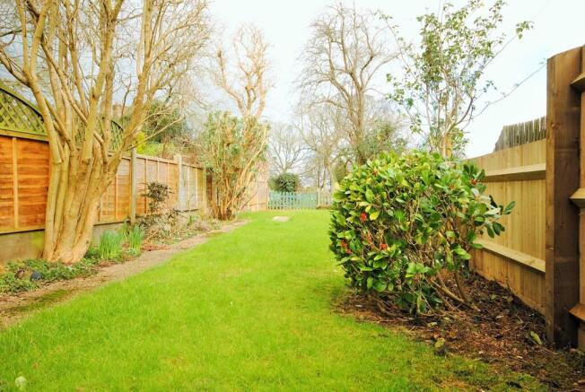 Back Garden (2).jpg