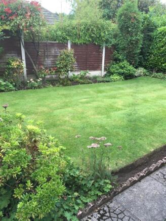 yard.jpg