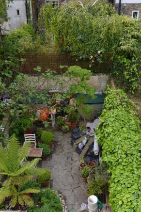 8 Norman Street Garden.JPG