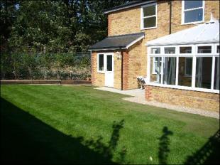 rear shot 2