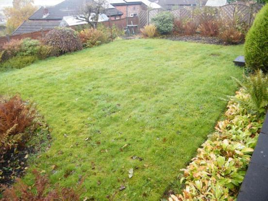 Rear Garden1