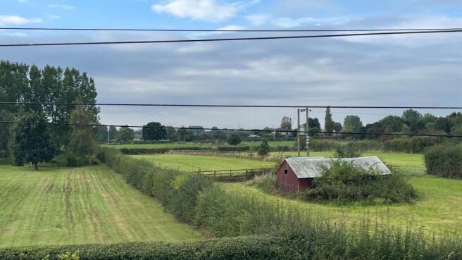 Open Field View