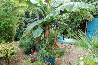 Exotic Garden
