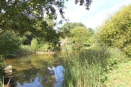 Pond