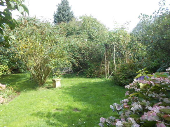 Photo 22
