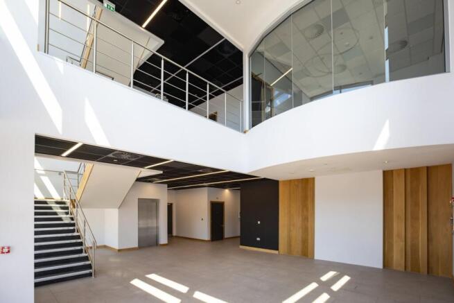 WEB  Nursling135 10072025  1224 .JPG