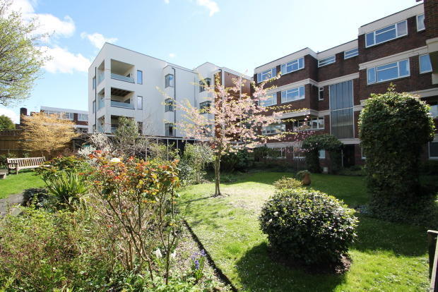 Communal gardens2