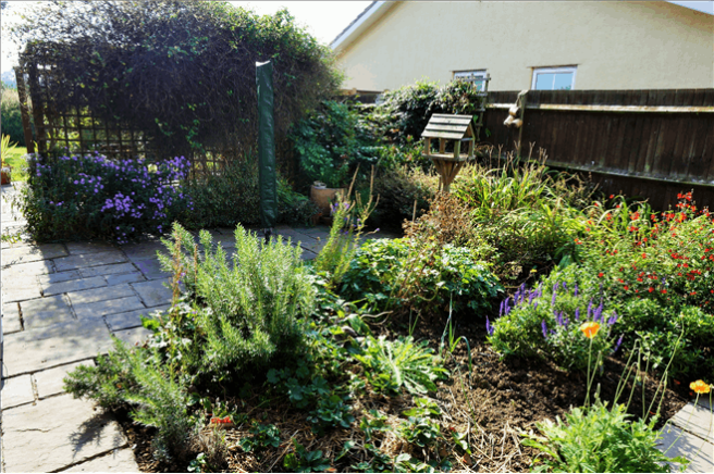 Side Garden
