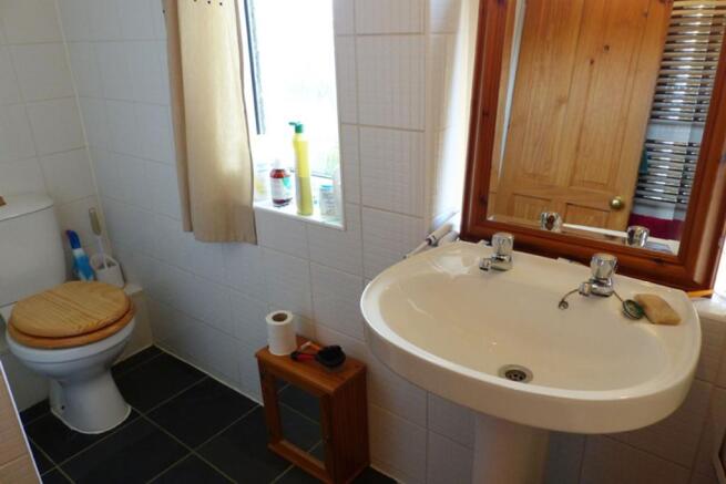 Picture 8