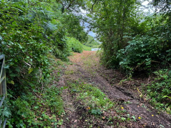 Photo 9