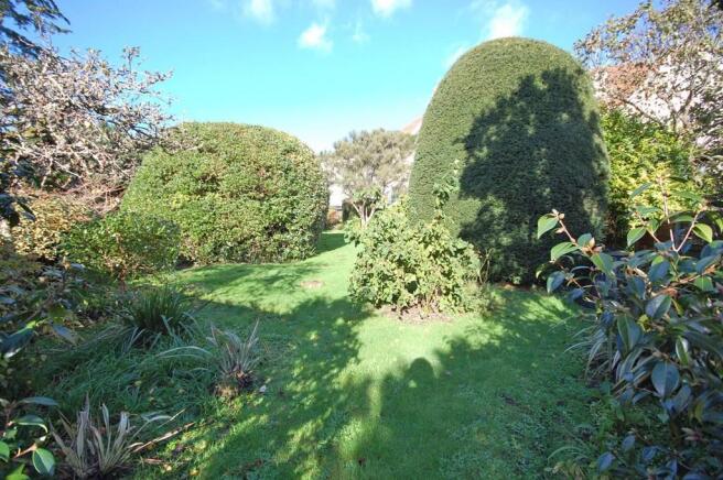 Photo 12