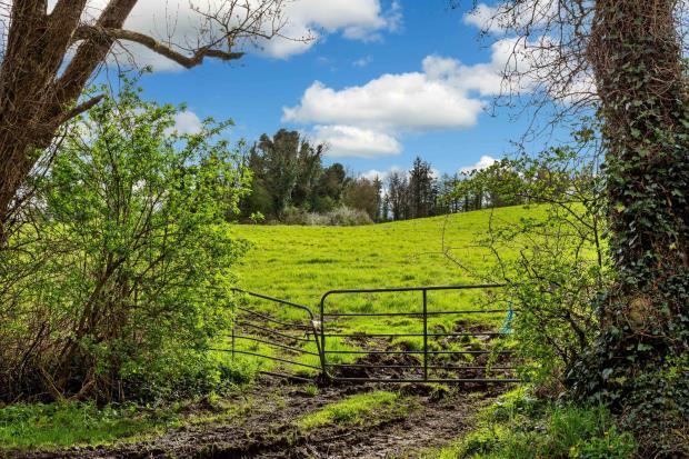 Land At Drumbar