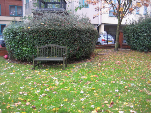 Photo 15