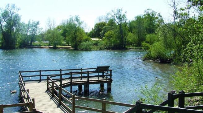 country park 2.jpg