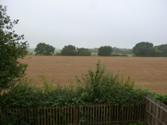 Photo11