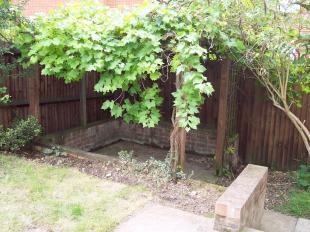 secret sun terrace