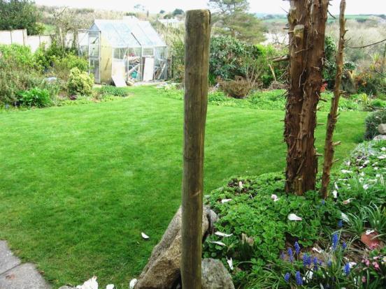Rear Garden One