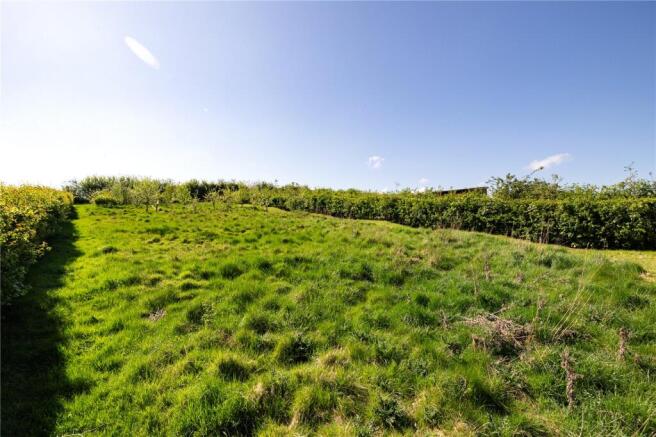 Field