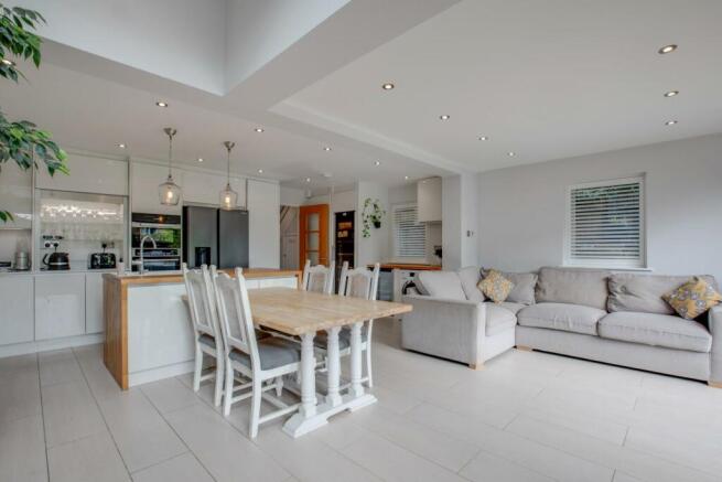 Kitchen / Living / Dining Area