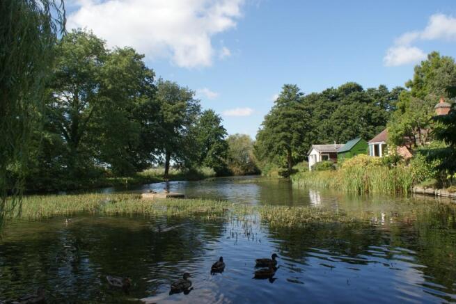 Downstream & Ducks