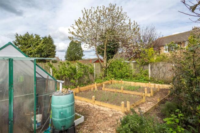 Vegetable Garden