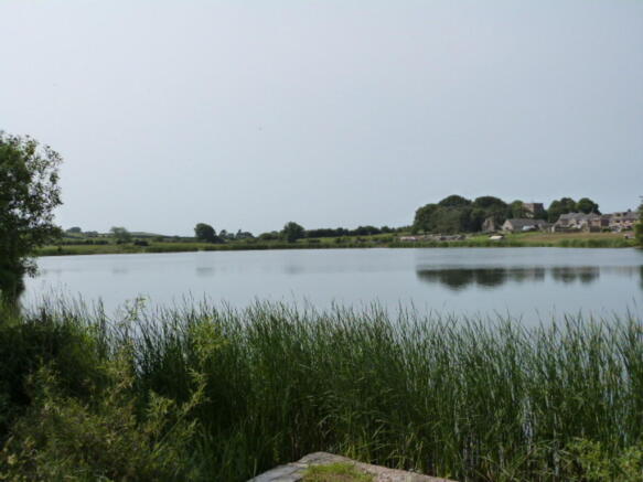 Photo 42
