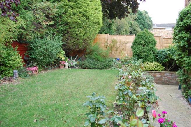 Photo 6