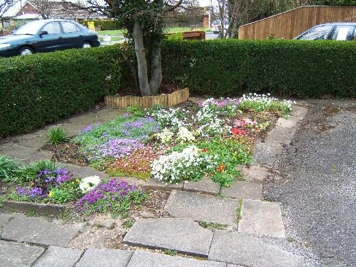 FRONT GARDEN