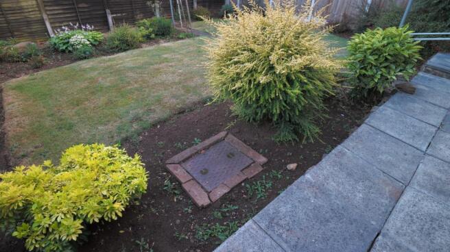Garden final 3