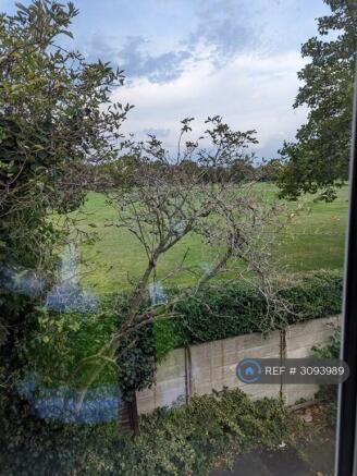 View From Bedroom
