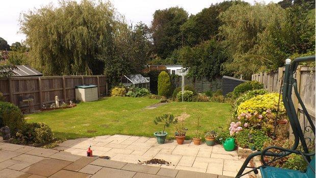 Patio and Lawn