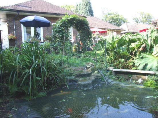 Pond