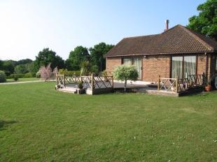 Garden 3