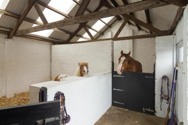 Stables