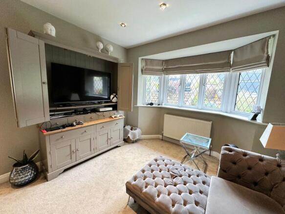 Bedroom/ Tv Room