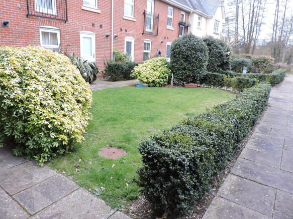 Photo 3